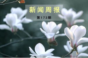 新闻周报（第173期）