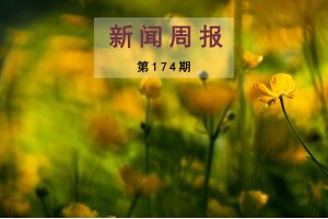 新闻周报（第174期）