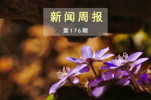 新闻周报（第176期）