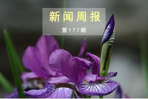 新闻周报（第177期）