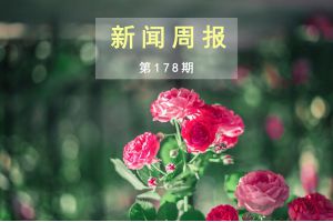 新闻周报（第178期）