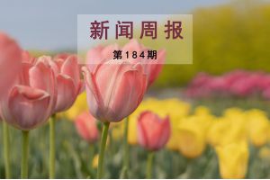 新闻周报（第184期）