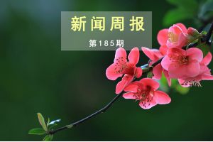 新闻周报（第185期）