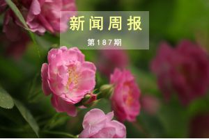 新闻周报（第187期）