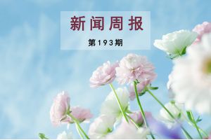 新闻周报（第193期）