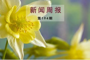 新闻周报（第194期）