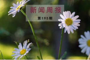 新闻周报（第195期）