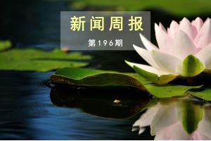 新闻周报（第196期）