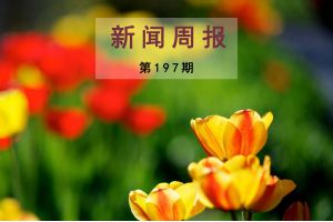 新闻周报（第197期）