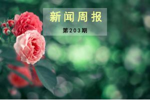 新闻周报（第203期）