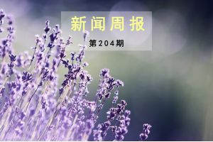 新闻周报（第204期）