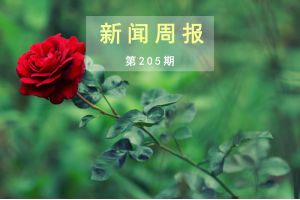 新闻周报（第205期）