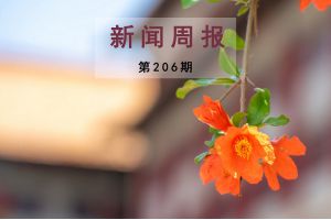 新闻周报（第206期）