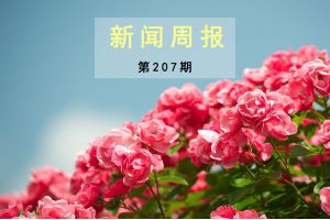 新闻周报（第207期）