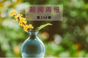 新闻周报（第208期）