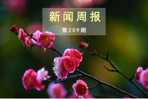 新闻周报（第209期）