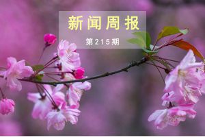 新闻周报（第215期）