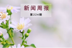 新闻周报（第224期）