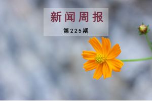 新闻周报（第225期）