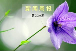 新闻周报（第226期）