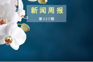 新闻周报（第227期）