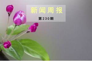 新闻周报（第230期）
