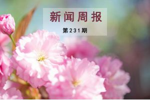 新闻周报（第231期）
