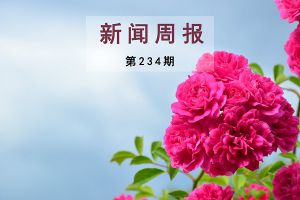 新闻周报（第234期）