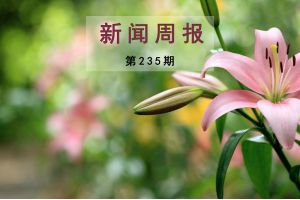 新闻周报（第235期）