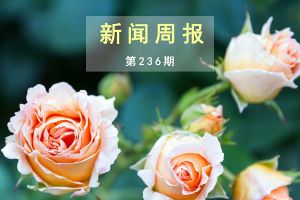 新闻周报（第236期）