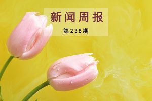 新闻周报（第238期）