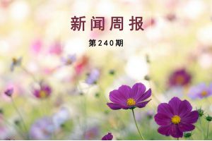 新闻周报（第240期）