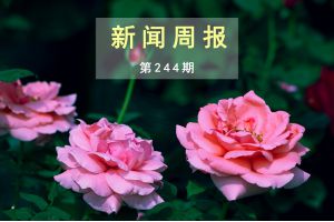 新闻周报（第244期）