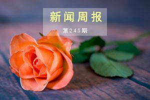 新闻周报（第245期）