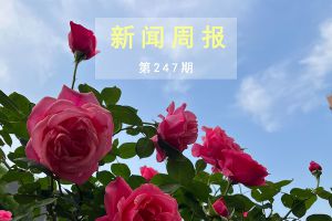 新闻周报（第247期）