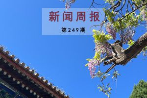新闻周报（第249期）